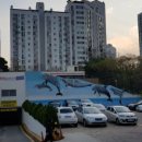 돌고래시장 이미지