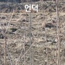 한삼농장 이미지