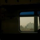 프라미스요양병원 | 16. 재미뽀