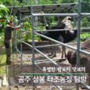 유구농장 이미지