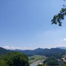 동강수산장어 이미지