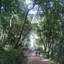 용호수산 이미지