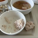 휴약국 | 제 2의 집으로 돌아오다 (•⌓•)