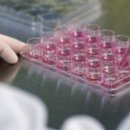 에스엠티 이미지