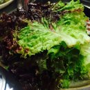 광시연탄갈비