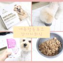 크라운롤리 | 강아지화식 크라운롤리 네츄럴독푸드 급여후기