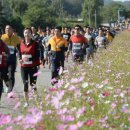 파주통일경기-파주-통일8 이미지