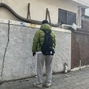 STS BOXING 이미지