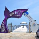 해파랑길 49코스 이미지