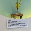 아이러브멍 이미지