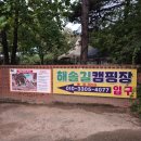 [경기/대부도] 긴 연휴에 간 해솔길캠핑장 2박3일 솔직후기!!