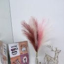 신아약국 이미지