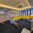 돈워리독 이미지