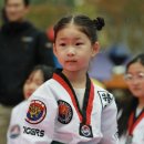 영웅K TIGERS 태권도장 이미지