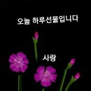 어명이요 - 유성구 신성남로 140 | 어명이요