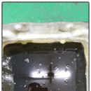 토토카센타 이미지