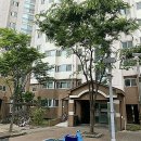 매천초등 이미지