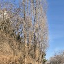 연세화랑의원 이미지