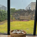 바람아래펜션 | 제주도 판포포구 근처 감성 숙소 바람아래독채펜션 1박 후기