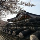 구이고