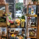 느린하루 이미지