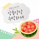 영통초교 이미지