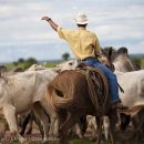 영국목장 이미지