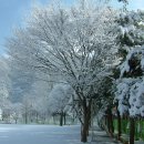 소천중학교 이미지