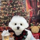 댕그랑댕 이미지