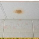 이섭대천로 6 이미지