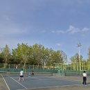 🎾 L1 테니스장 야외 게임 수업 후기