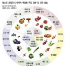 야채수 효능 이미지