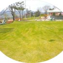 삼원레저타운골프 이미지