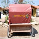 홀스킹덤 팜스테이 이미지