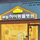 루원하이동물병원 이미지