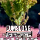 카페음봉 이미지