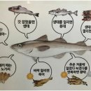 생태세상 이미지