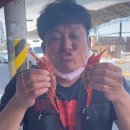 독도회식당 이미지