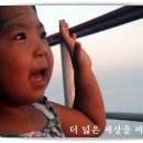 촌놈 Daum카페