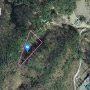 와촌농협하나로마트 이미지