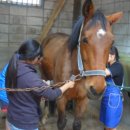 발안바이오과학고등학교 이미지