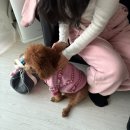 자기위로와 희망사항