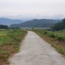 안심리 안심교 이미지