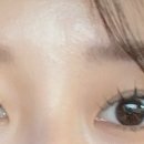 래쉬바이진