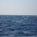 가곡쉼터 이미지