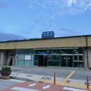 도도한돼지 이미지