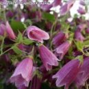 다보이는세상 이미지