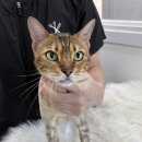 연두민박 이미지