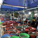 설도젓갈타운 | 전남 영광 회센터 설도항 신영호 _ 산낙지, 해삼 솔직후기 / 설도젓갈타운