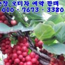 노력농장 이미지